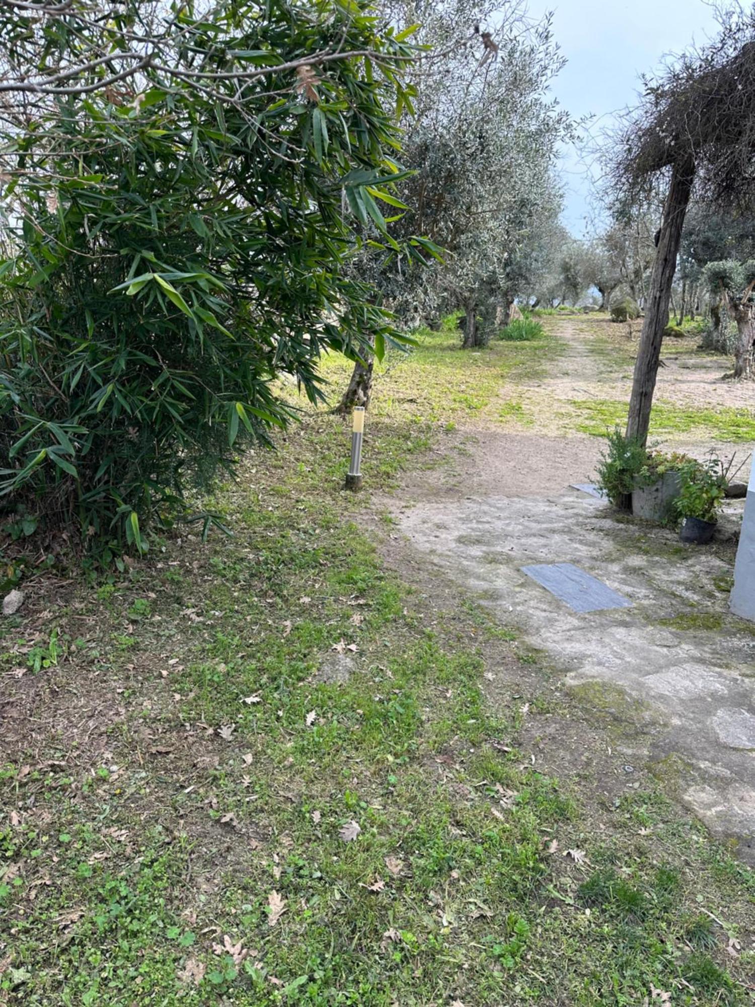 Monte Das Mariolas Castelo de Vide Bagian luar foto